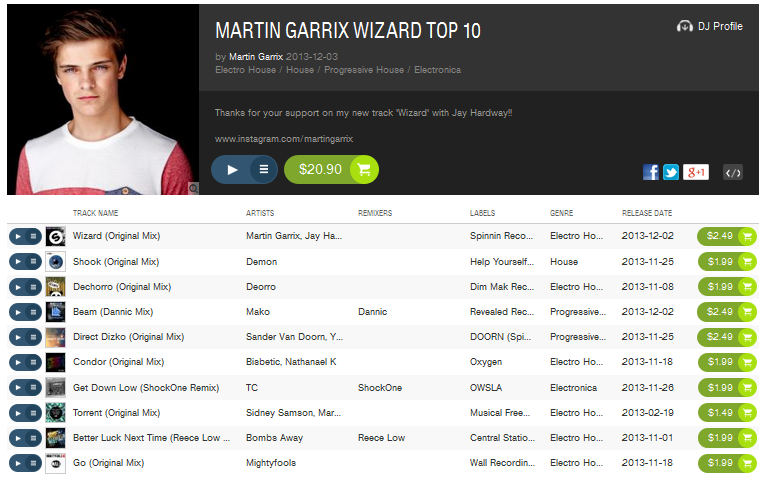 Martin Garrix Top 10