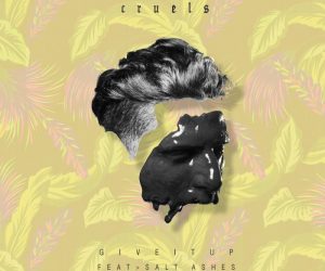 "Give It Up" Featuring Salt Ashes Surpasses 6 Million Streams on Spotify