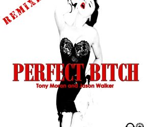 Tony Moran & Jason Walker - Perfect Bitch (Remixes)