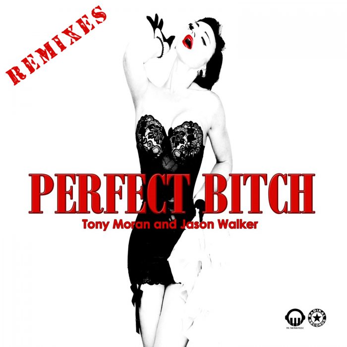 Perfect Bitch (Remixes) - Cover Art