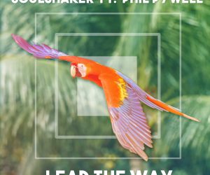 Soulshaker - Lead the Way (feat. Phil Pywell)