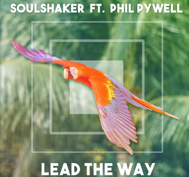 Soulshaker - Lead the Way (feat. Phil Pywell) - Cover Art