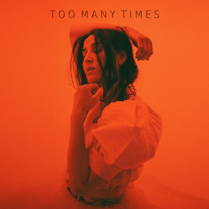 Salt Ashes - Too Many Times - Cover Art