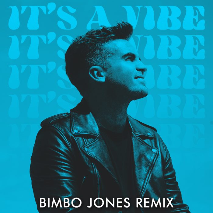 RIP Youth - It's A Vibe (Bimbo Jones Remix) - Cover Art