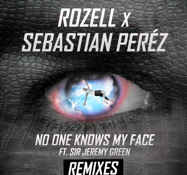 No One Knows My Face (Remixes) - Cover Art