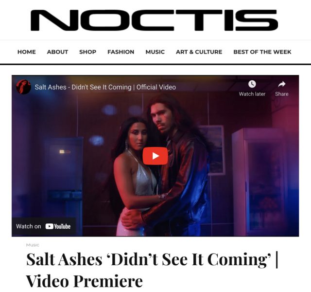 Salt Ashes - Didn't See It Coming - Noctis Video Premiere