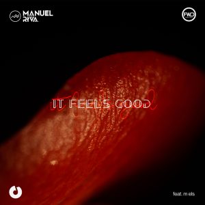Manuel Riva - It Feels Good (feat. m els)