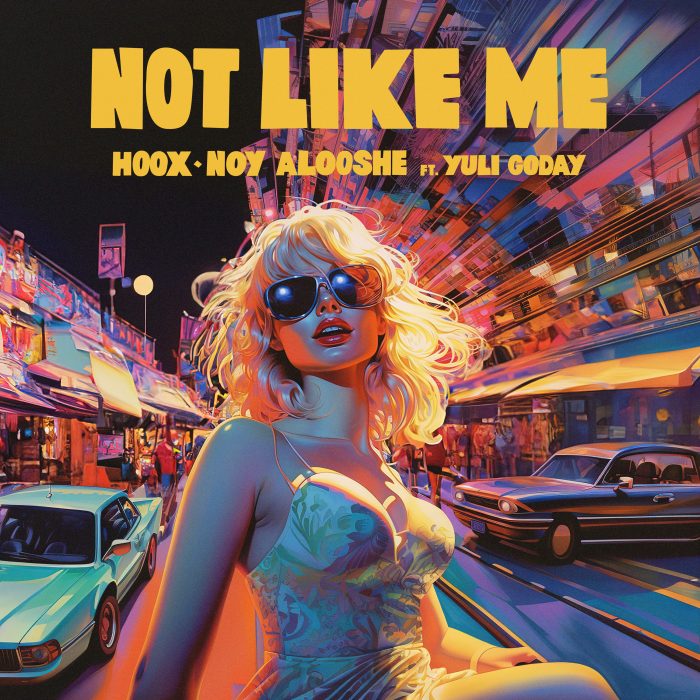 HOOX & Noy Alooshe - Not Like Me (feat. Yuli Goday) - Cover Art
