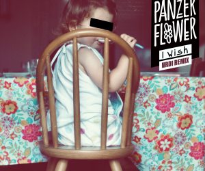 NRD1 Remixes Panzer Flower's Feel-Good Single “I Wish” feat. Michael & MUSYCA