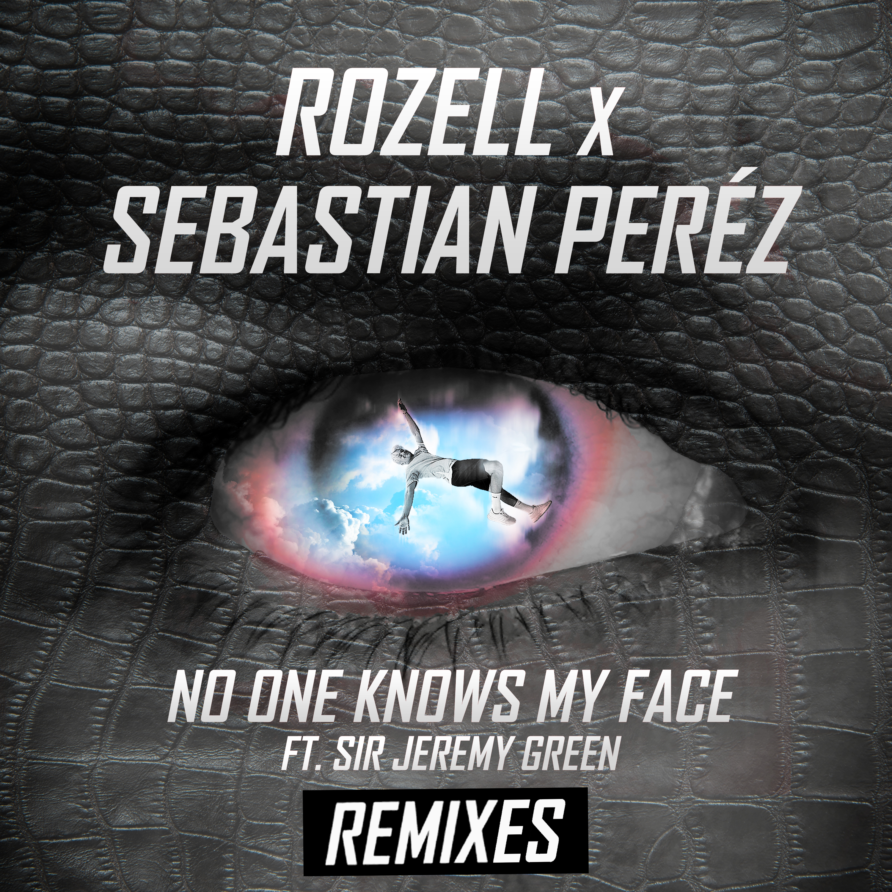 No One Knows My Face (Remixes) - Cover Art